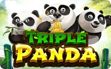 Triple Panda artwork